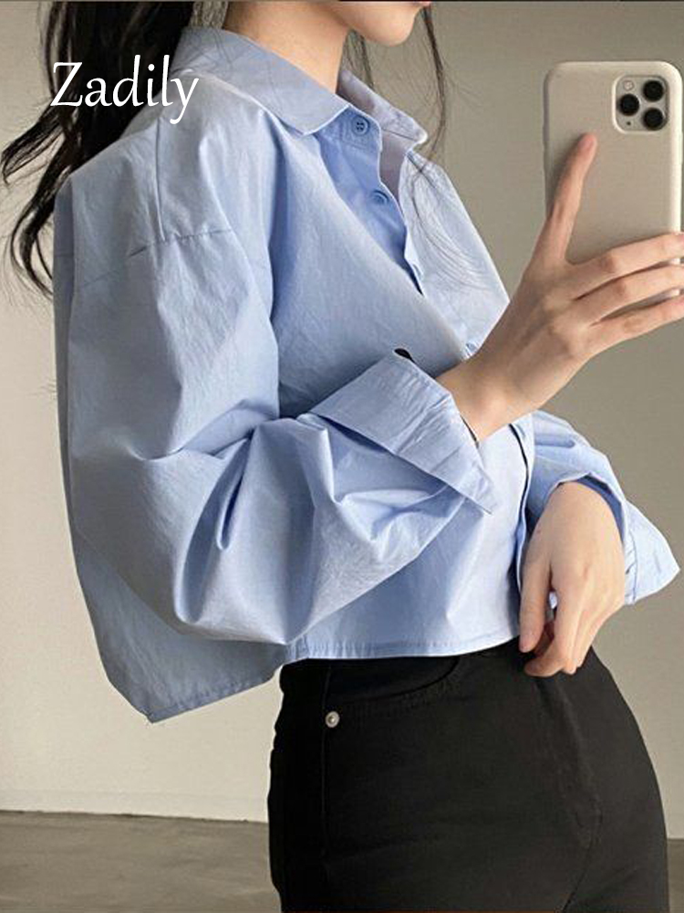 Zadily blus lengan panjang wan - Summer Clothing Drop ulasan dan harga