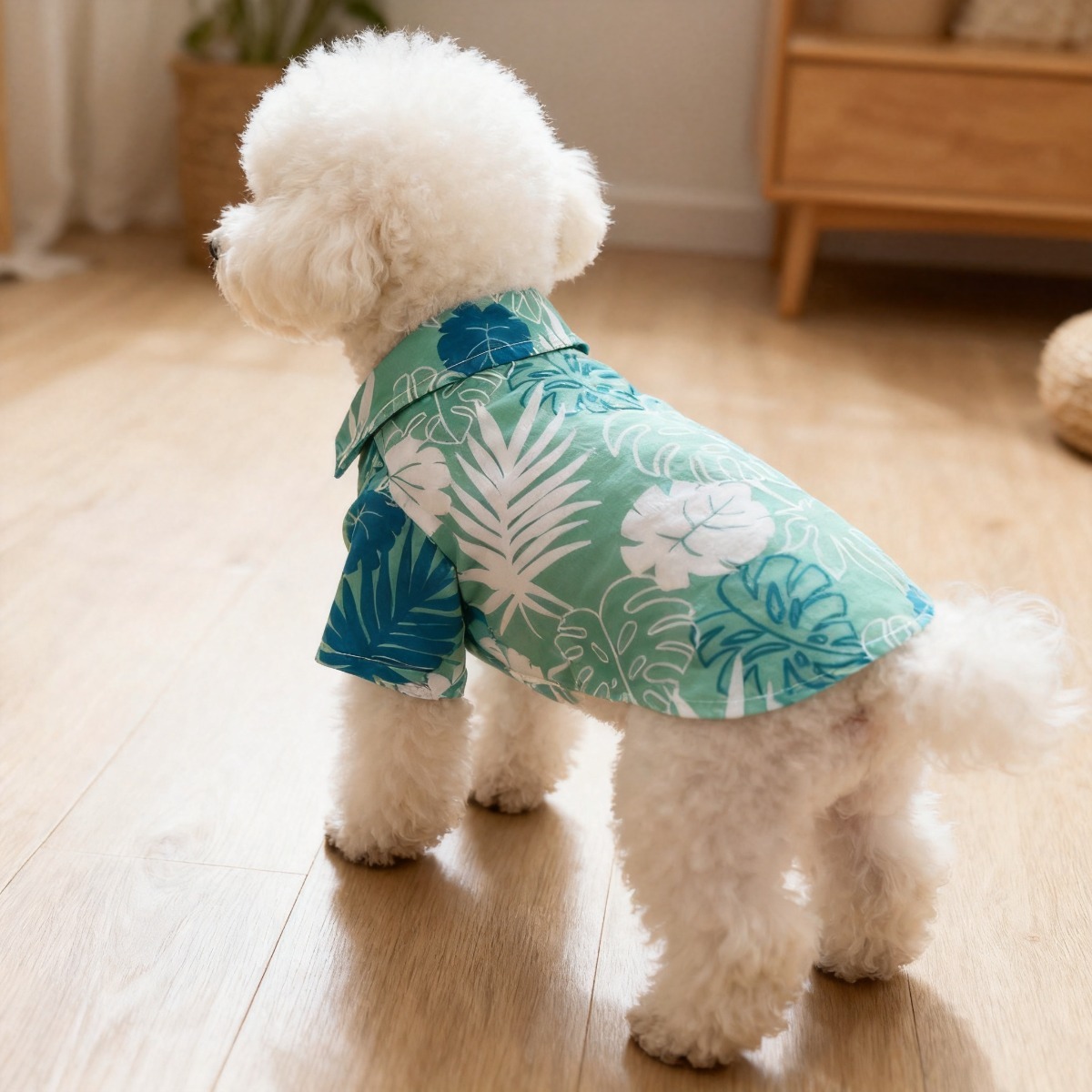 Kemeja Bunga Kucing, Wol Anti- - Summer Dog Clothing ulasan dan harga