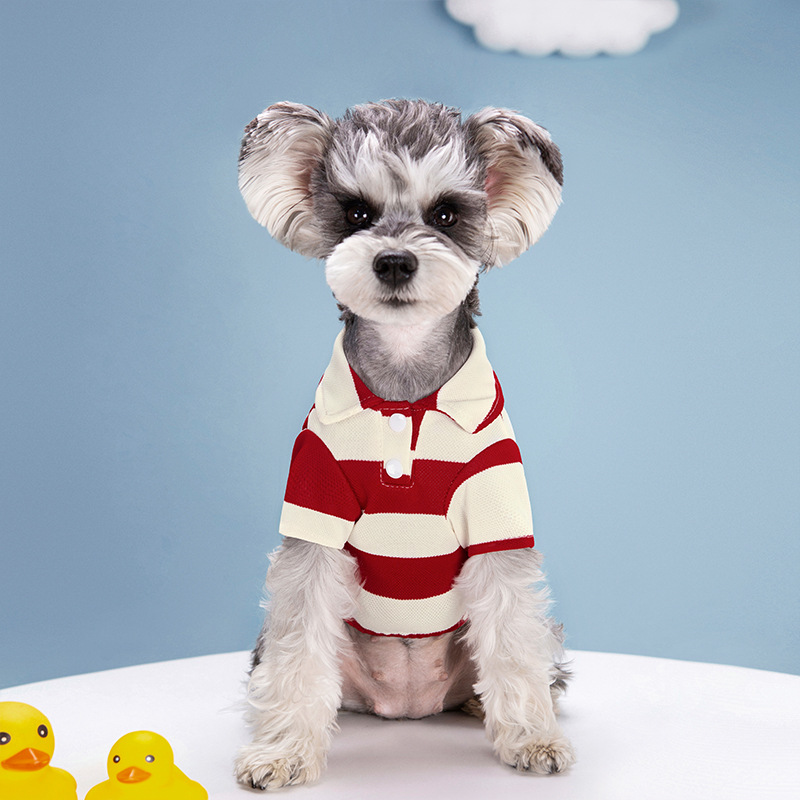 Kaos Polo Anjing Peliharaan Pa - Summer Dog Clothing ulasan dan harga