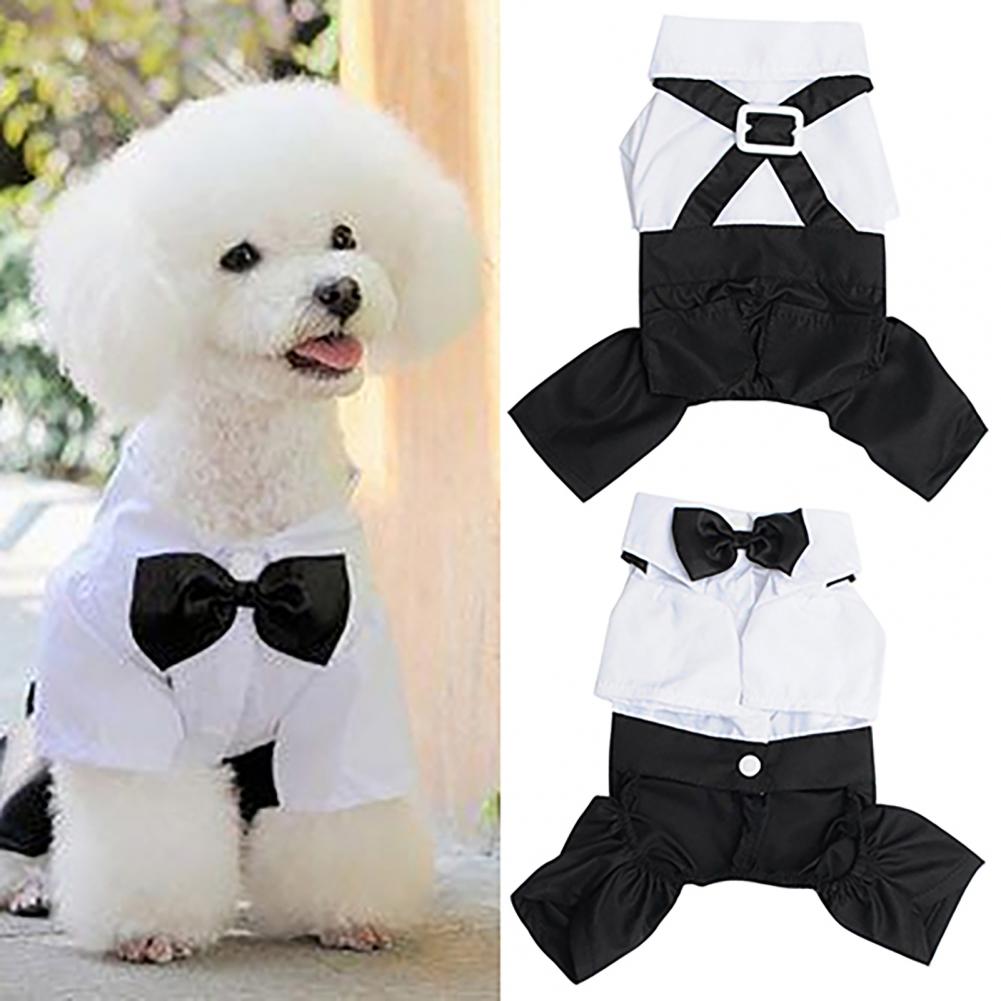 Setelan dasi kupu-kupu anjing  - Summer Dog Clothing ulasan dan harga