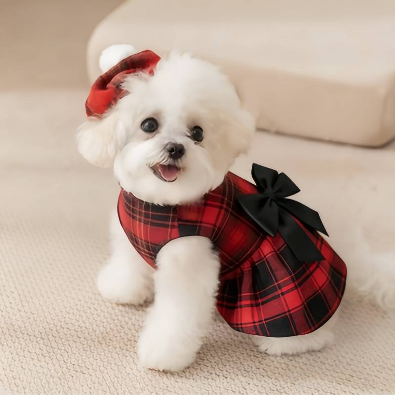 Pakaian Anjing Peliharaan Keme - Summer Dog Clothing ulasan dan harga